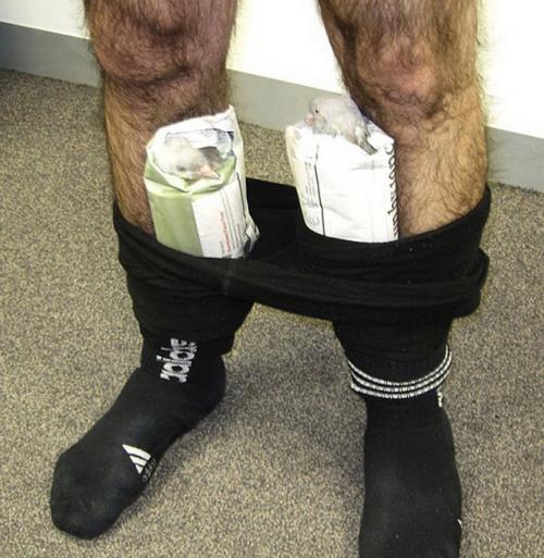 Самые изощренные способы контрабанды товаров и людей