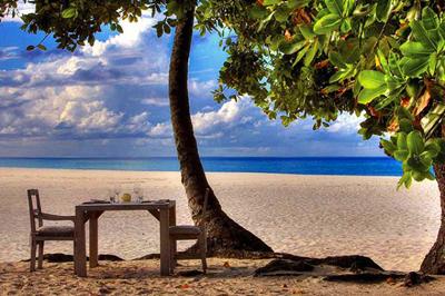 Рай на земле стоит 3500 ? в сутки