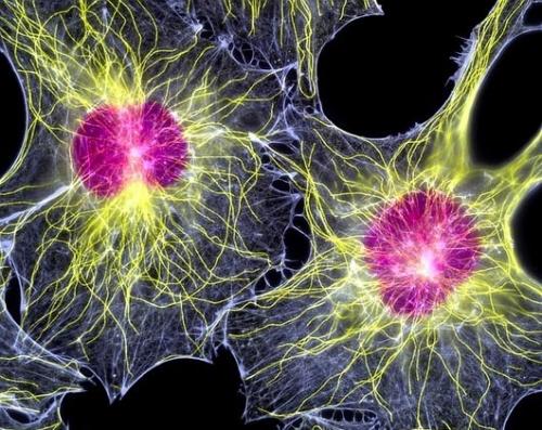 Самые грандиозные открытия десятилетия