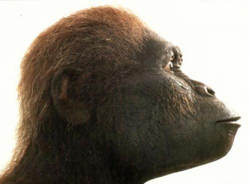 Самые грандиозные открытия десятилетия