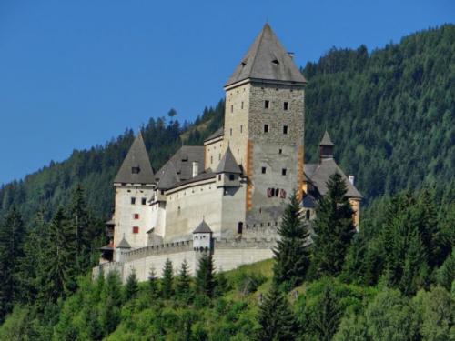 Замок Моосхам в Австрии
Замок Моосхам — замечательный пример австрийской архитектуры и призрачных историй. Построенный в XII веке, он также известен как Замок Ведьм из-за своего зловещего прошлого.
