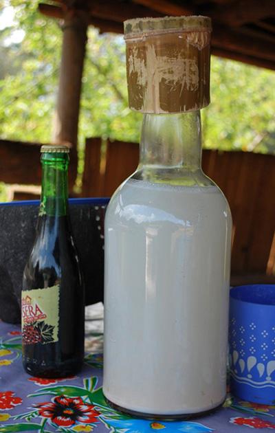 Пульке. Эта молочного вида субстанция производится из ферментированного сока растения под названием магей. Пульке пьют еще со времен ацтеков. Правда, после изобретения пива он стал пользоваться меньшей популярностью.