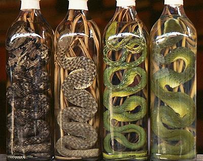 Змеиное вино встречается преимущественно в Азии и готовится погружением целой змеи в рисовое вино. Считается, что этот напиток обладает целебными свойствами и нейтрализует практически любой недуг - от выпадения волос до импотенции.
/По материалам bigpicture.ru/