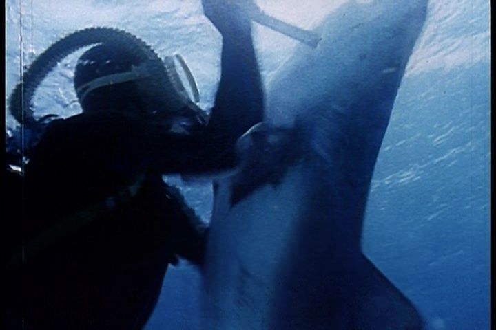 Смерть на камеру: актеры и каскадеры, погибшие на съемках