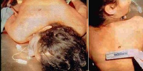 Знаменитости, погибшие от огнестрельных ранений