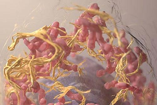 Самые впечатляющие научные фотографии