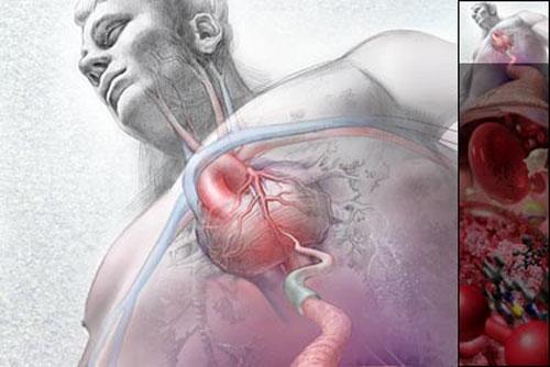 Самые впечатляющие научные фотографии