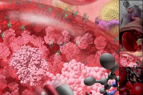 Самые впечатляющие научные фотографии