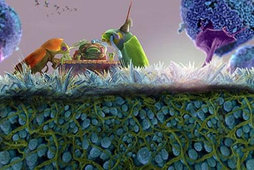 Самые впечатляющие научные фотографии