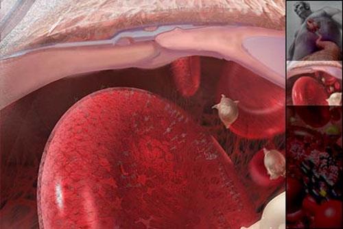 Самые впечатляющие научные фотографии