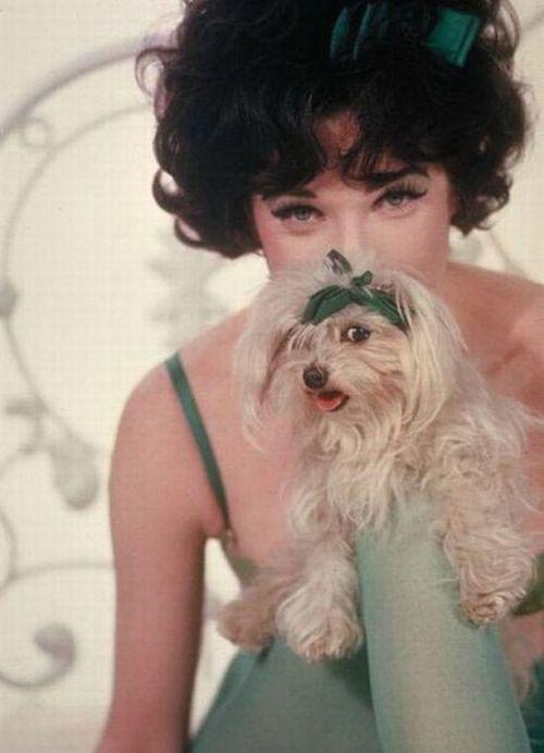 Редкие снимки знаменитостей прошлого и настоящего. Часть 15