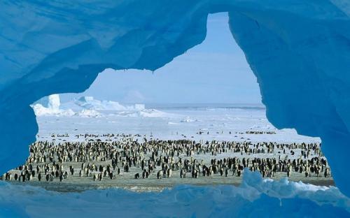 Самые необычные айсберги