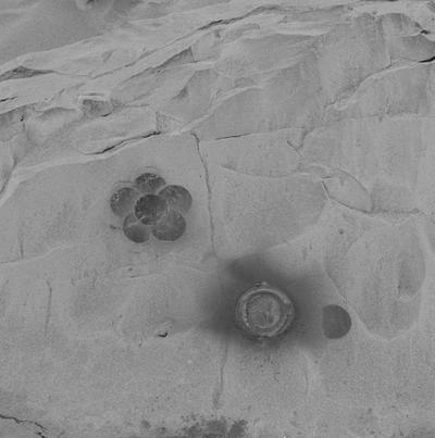 История робокара-марсохода «Spirit»