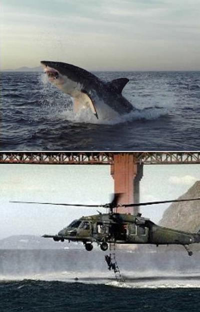 Как делают сенсации с помощью Фотошопа