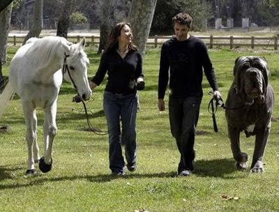 Как делают сенсации с помощью Фотошопа