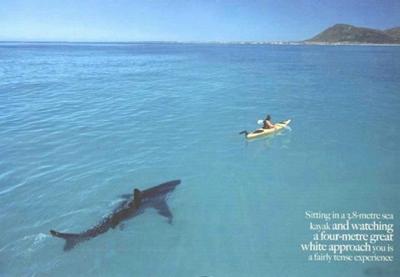 Как делают сенсации с помощью Фотошопа