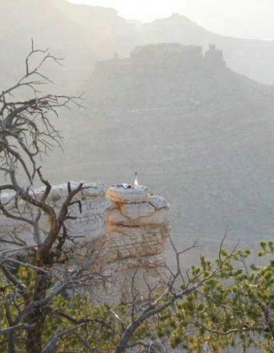 Как делают сенсации с помощью Фотошопа