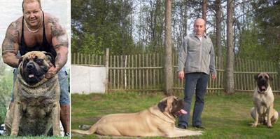 Как делают сенсации с помощью Фотошопа