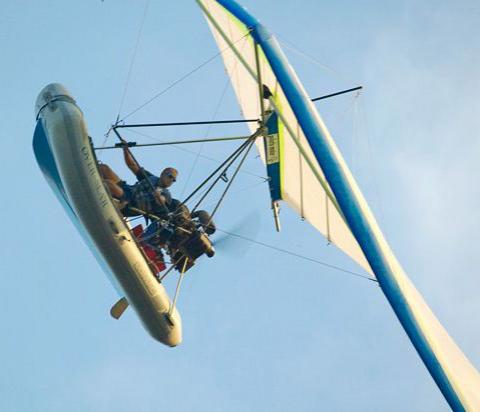 "Домашние" акулы Джима Абернети: хищники напрокат