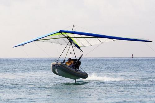 "Домашние" акулы Джима Абернети: хищники напрокат