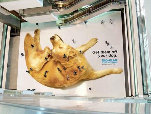“Избавь от них свою собаку” - реклама средства от блох и клещей