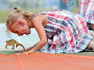 10 самых интересных состязаний с участием представителей фауны