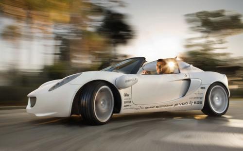 Автомобильные прогулки под водой