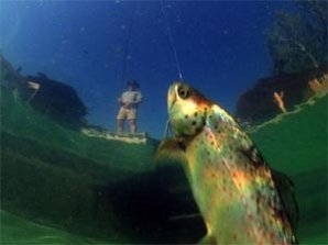 Волшебное озеро наполняется раз в год