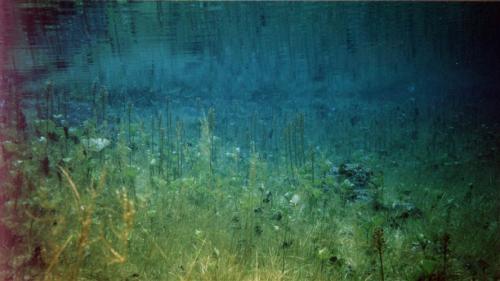 Волшебное озеро наполняется раз в год