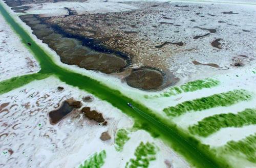 Места, где добывают соль, в фотографиях