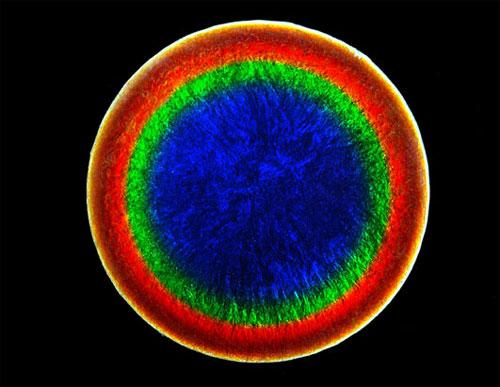 Красота научных ислледований