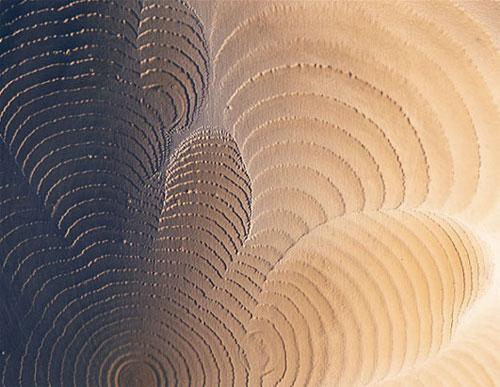 Красота научных ислледований