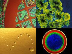 Красота научных ислледований