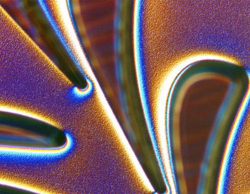 Красота научных ислледований