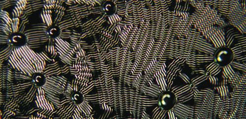 Красота научных ислледований