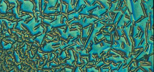 Красота научных ислледований