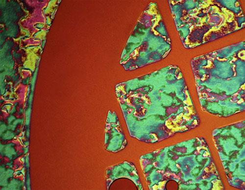 Красота научных ислледований