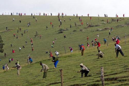 World Press Photo выбрал победителей