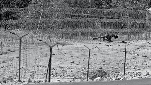 World Press Photo выбрал победителей