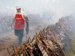 В Парагвае устроили суперпикник