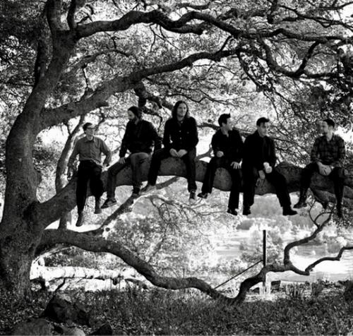 Музыканты в объективе Олафа Хайне