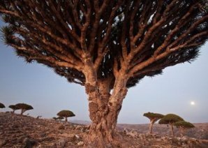 Фантастические пейзажи из разных уголков планеты