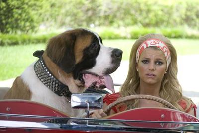 Звезды-многостаночники: со сцены — на экран, и обратно