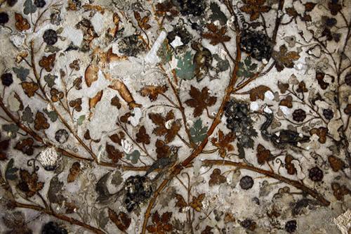 Самые важные научные события 2010 года