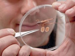 Самые важные научные события 2010 года