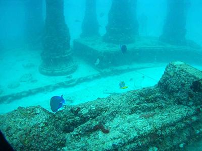 Мемориал Нептуна: подводное кладбище у берегов Флориды