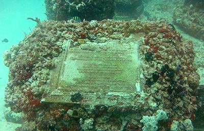 Мемориал Нептуна: подводное кладбище у берегов Флориды