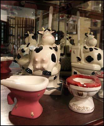 Туалетный музей открылся на Украине