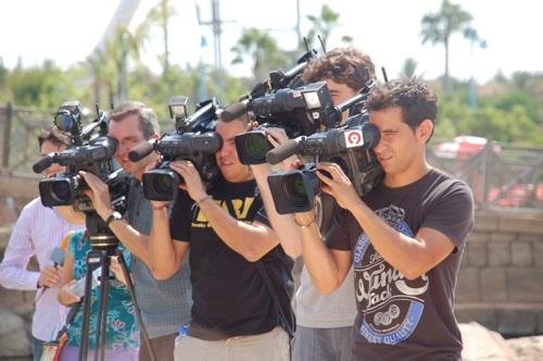 Испанец собрал два кубика Рубика в бассейне с шестью акулами