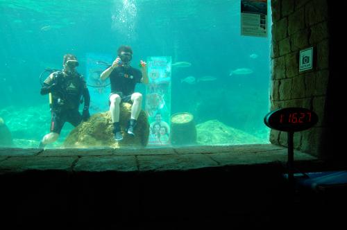 Испанец собрал два кубика Рубика в бассейне с шестью акулами